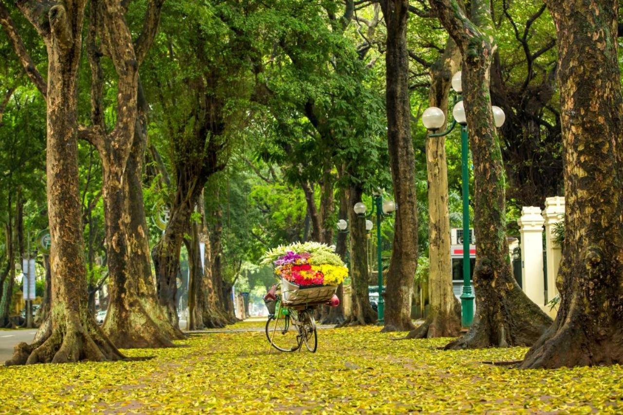 Mina Hotel And Spa Hanoi Eksteriør bilde